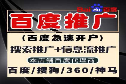 金融行业SEM推广案例：提升品牌知名度